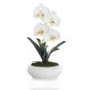 Phalaenopsis Artificial Flowers In Pot, White And Yellow – 58 Cms