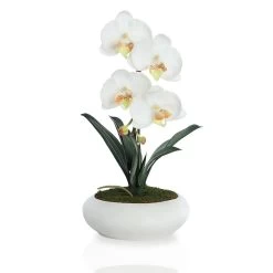 Phalaenopsis Artificial Flowers In Pot, White And Yellow – 58 Cms