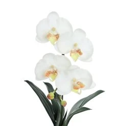 Phalaenopsis Artificial Flowers In Pot, White And Yellow – 58 Cms -decoration 5109002009853 3