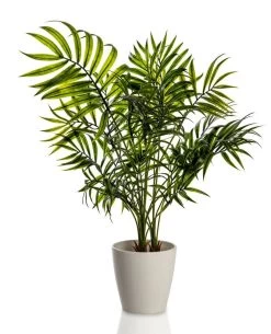Mini Areca Artificial Palm Bush (Green, 63.5 Cms)
