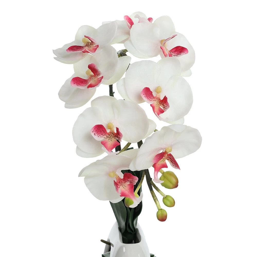 Phalaenopsis Artificial Flowers In Pot, White – 42 Cms 3 Phalaenopsis Artificial Flowers In Pot, White – 42 Cms - Image 3