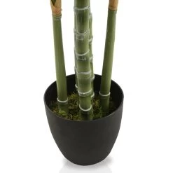 Regular Caladium Artificial Tree (Green, 152.4 Cms) -decoration 5109002014154 3 1