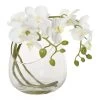 Artificial Phalaenopsis In Glass Vase, White - 28.5 Cms