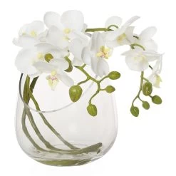 Artificial Phalaenopsis In Glass Vase, White - 28.5 Cms