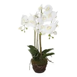 Artificial Phalaenopsis In Moss Pot, White – 70 Cms