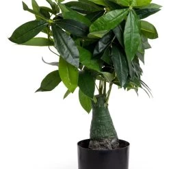 Artificial Fat Choi Plant, Green – 74 Cms
