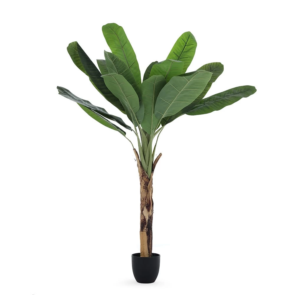 Philippines Style Royal Artificial Plant (Green, 137.2 Cms) 1 Philippines Style Royal Artificial Plant (Green, 137.2 Cms)