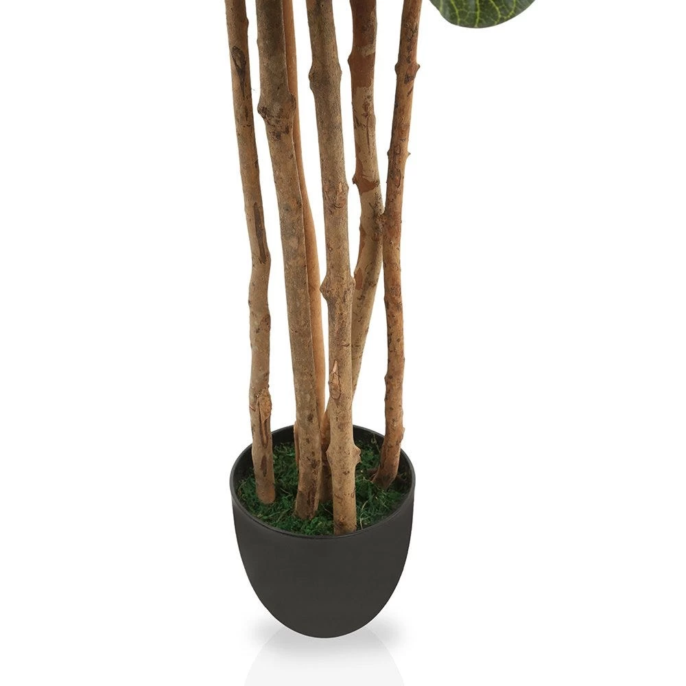 Mangrove Style Fiddle Artificial Tree (Green, 152.4 Cms) 2 Mangrove Style Fiddle Artificial Tree (Green, 152.4 Cms) - Image 2