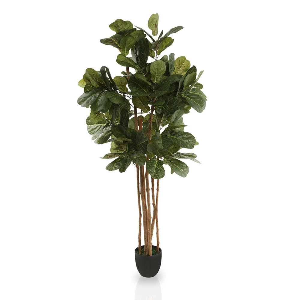 Mangrove Style Fiddle Artificial Tree (Green, 152.4 Cms) 1 Mangrove Style Fiddle Artificial Tree (Green, 152.4 Cms)