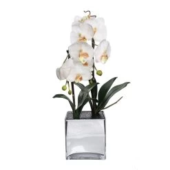 Phalaenopsis Artificial Flowers In Mirror Square Pot, White And Yellow – 62 Cms