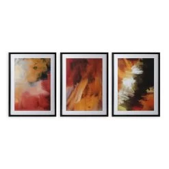 Carnation 3-Piece Canvas Framed Art Set, Multicolour - 53x73 Cms