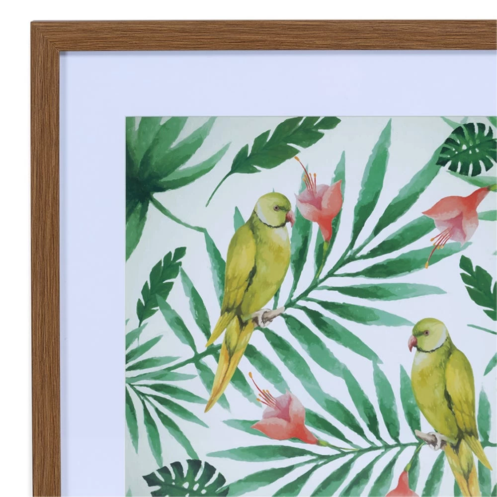 Parrots Framed Art, Multicolour – Set Of 2 2 Parrots Framed Art, Multicolour – Set Of 2 - Image 2