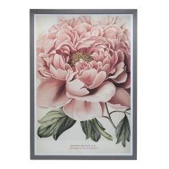Rosa Flower Framed Wall Art, Multicolour – 71x101 Cm