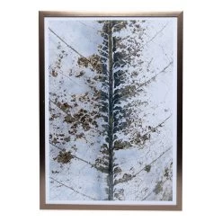 Will Framed Wall Art, Multicolour – 51x71 Cm