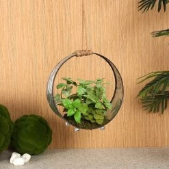 Hanging Plant In Metal Pot, Green