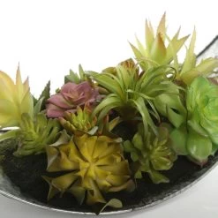 Indoor Art Succulent Décor, Multicolour 5 Indoor Art Succulent Décor, Multicolour -decoration 5110900201713 3