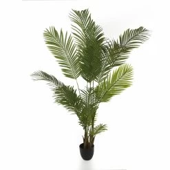 Potted Anemone X17 Leaves, Green – 170 Cms