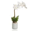 Orchid With Mix Grass Garden In White Glass Vase – 51 Cms
