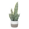 Sansevieria In Cement Pot, White & Grey – Small, 38 Cms