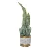 Sansevieria In Cement Pot, Grey & Gold – Large, 55 Cms