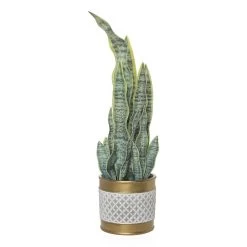 Sansevieria In Cement Pot, Grey & Gold – Large, 55 Cms