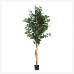 Curvy Ficus Artificial Tree, Green – 183 Cm