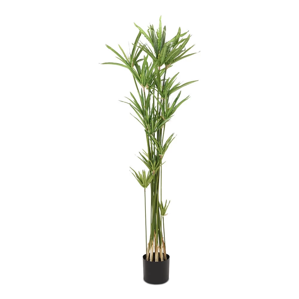 River Style Cyperus Artificial Tree, Green – 152 Cm 1 River Style Cyperus Artificial Tree, Green – 152 Cm
