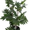 Artificial Philodendron Tree In Pot, Green – 50 Cm