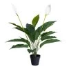 Artificial Spathiphyllum In Pot, Green – 76 Cm