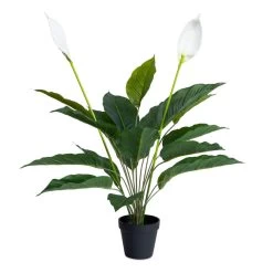 Artificial Spathiphyllum In Pot, Green – 76 Cm
