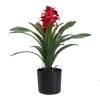 Artificial Billbergia In Pot, Red & Green – 45 Cm
