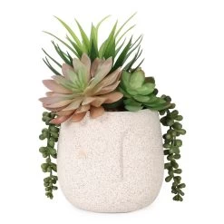 Artificial Succulent In Ceramic Pot, Multicolour