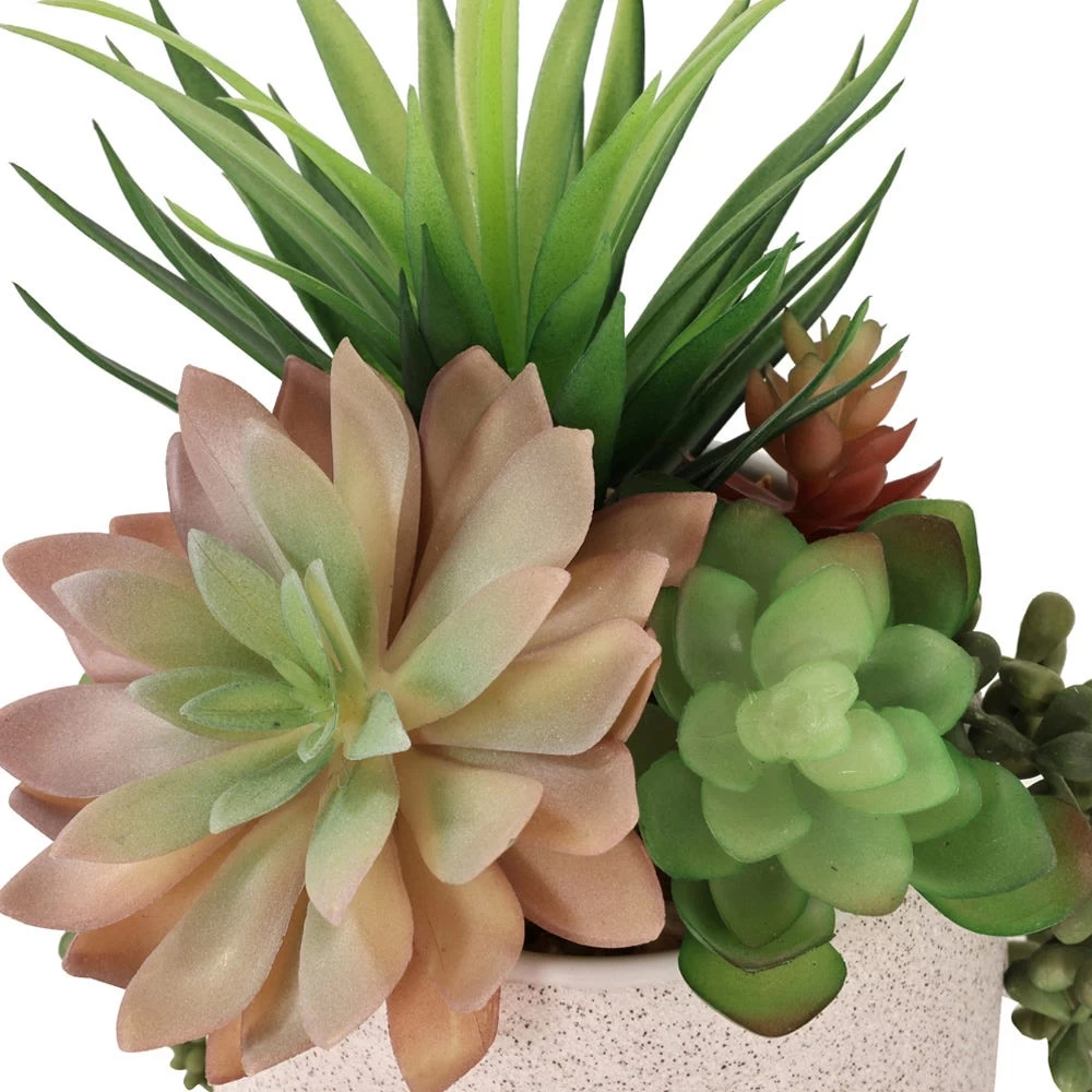 Artificial Succulent In Ceramic Pot, Multicolour 2 Artificial Succulent In Ceramic Pot, Multicolour - Image 2