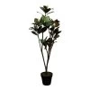 Artificial Potted Magnolia Plant, Green - 143 Cm