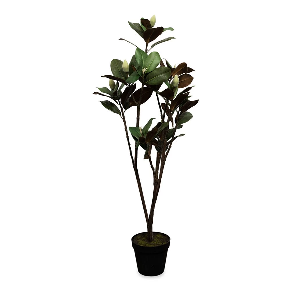 Artificial Potted Magnolia Plant, Green - 143 Cm 1 Artificial Potted Magnolia Plant, Green - 143 Cm
