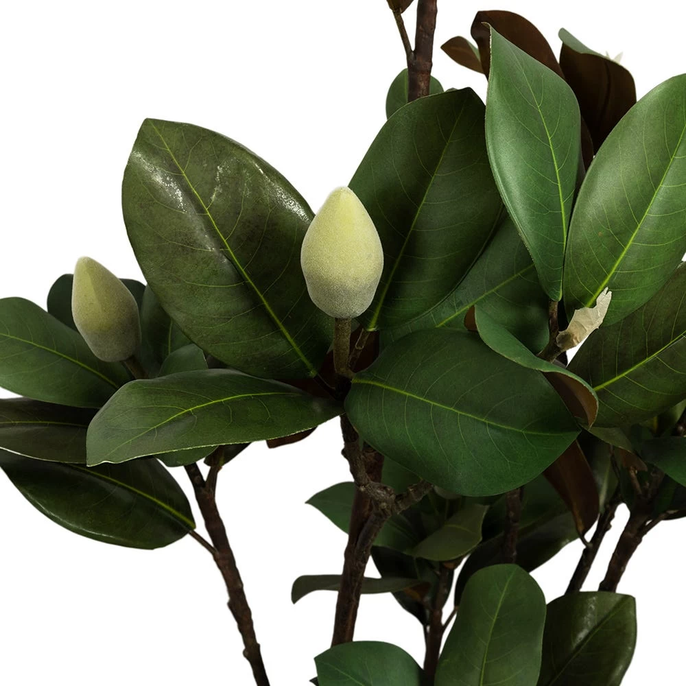 Artificial Potted Magnolia Plant, Green - 143 Cm 2 Artificial Potted Magnolia Plant, Green - 143 Cm - Image 2