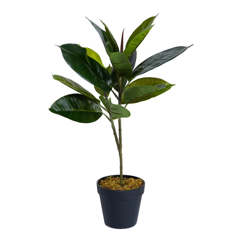 Artificial Potted Rubber Tree, Green - 50 Cm 1 Artificial Potted Rubber Tree, Green - 50 Cm