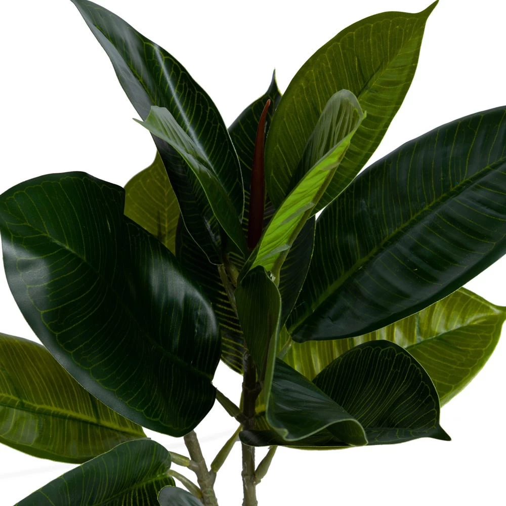 Artificial Potted Rubber Tree, Green - 50 Cm 2 Artificial Potted Rubber Tree, Green - 50 Cm - Image 2