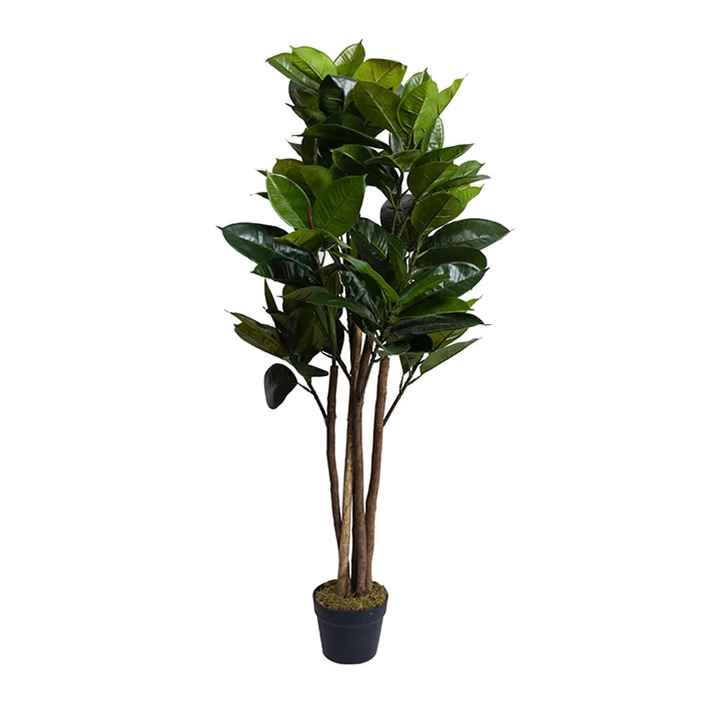 Artificial Potted Rubber Tree, Green - 120 Cm 1 Artificial Potted Rubber Tree, Green - 120 Cm