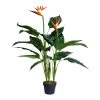 Artificial Bird Of Paradise, Green - 100 Cm