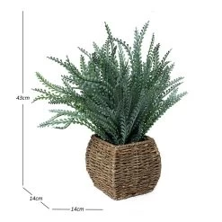 Artificial Ferns In Seagrass Basket, Green - 43 Cm -decoration 5110900203991 4