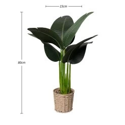Artificial Tropical Plant In Wicker Pot, Green - 80 Cm -decoration 5110900204110 3