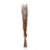 Decorative Buri Ting Ting Dried Flower Curlies (Brown/Natural)