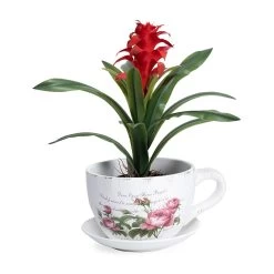 Vintage Planter Pot, Multicolour - 29x16 Cm -decoration 5110902001212 3